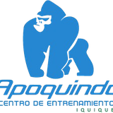 Apoquindo Centro de Entrenamiento
